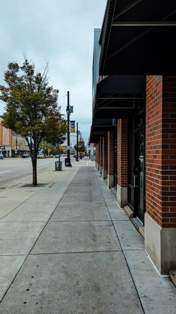 A quiet urban street lined with brick buildings and trees on a cloudy day.