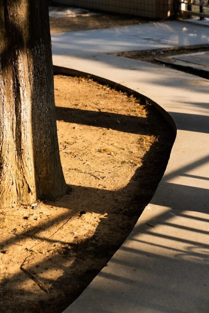 a tree next to a road