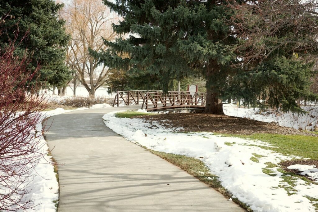a sidewalk with snow on the ground next to a tree